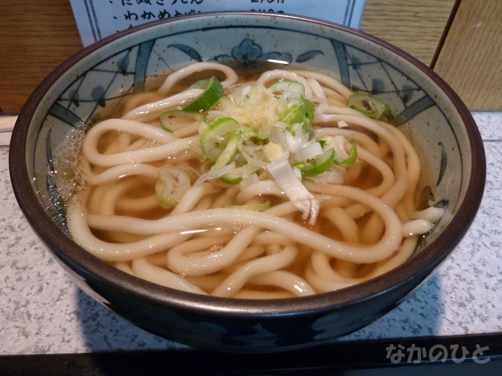 デイリーチコのかけうどん